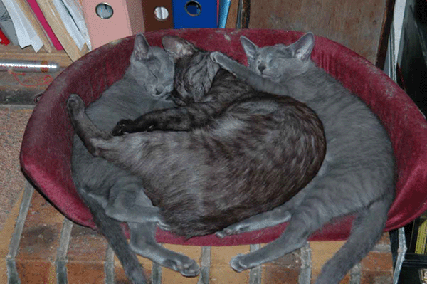 Victoire et Aleksi