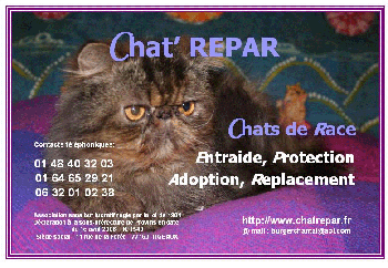 Chat'repar